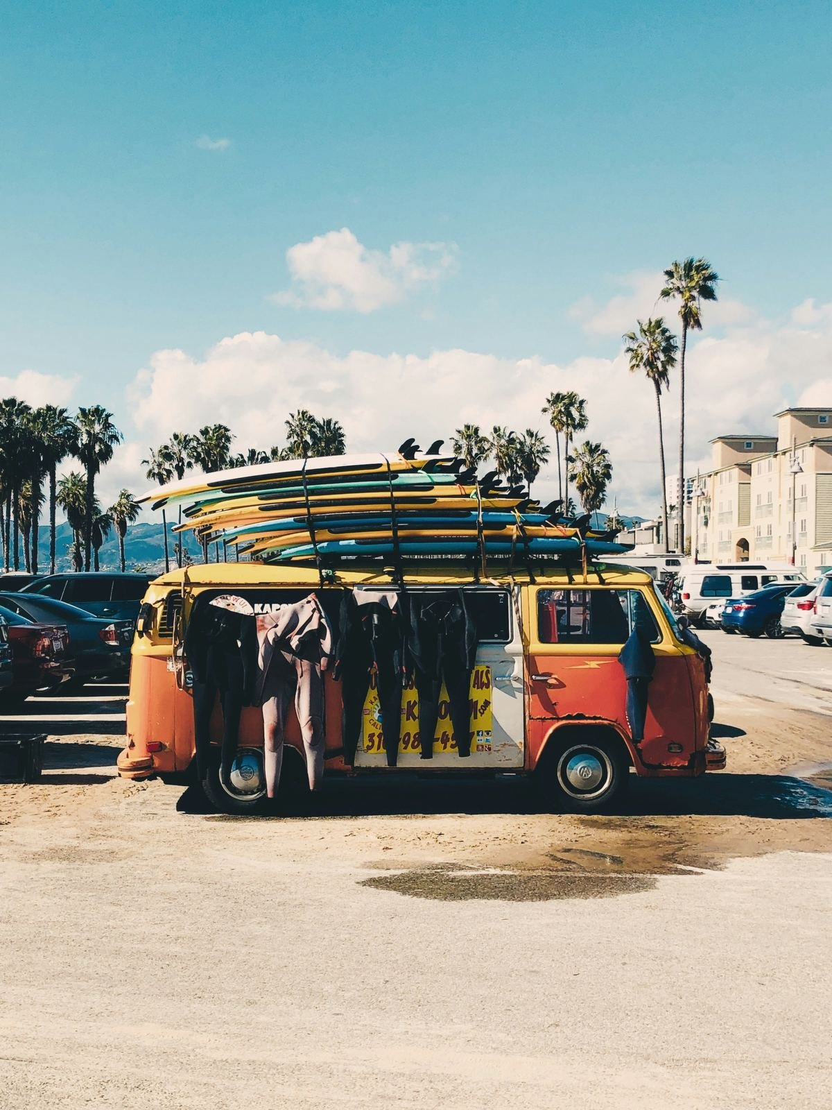 Which surfboard is right for you: fish, shortboard, mid length or long board
