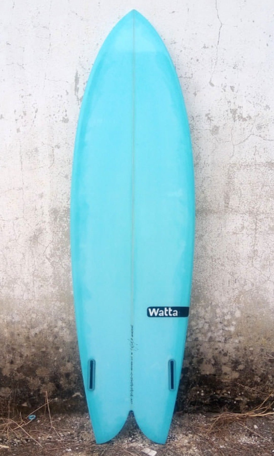 The Classic Twin Fin