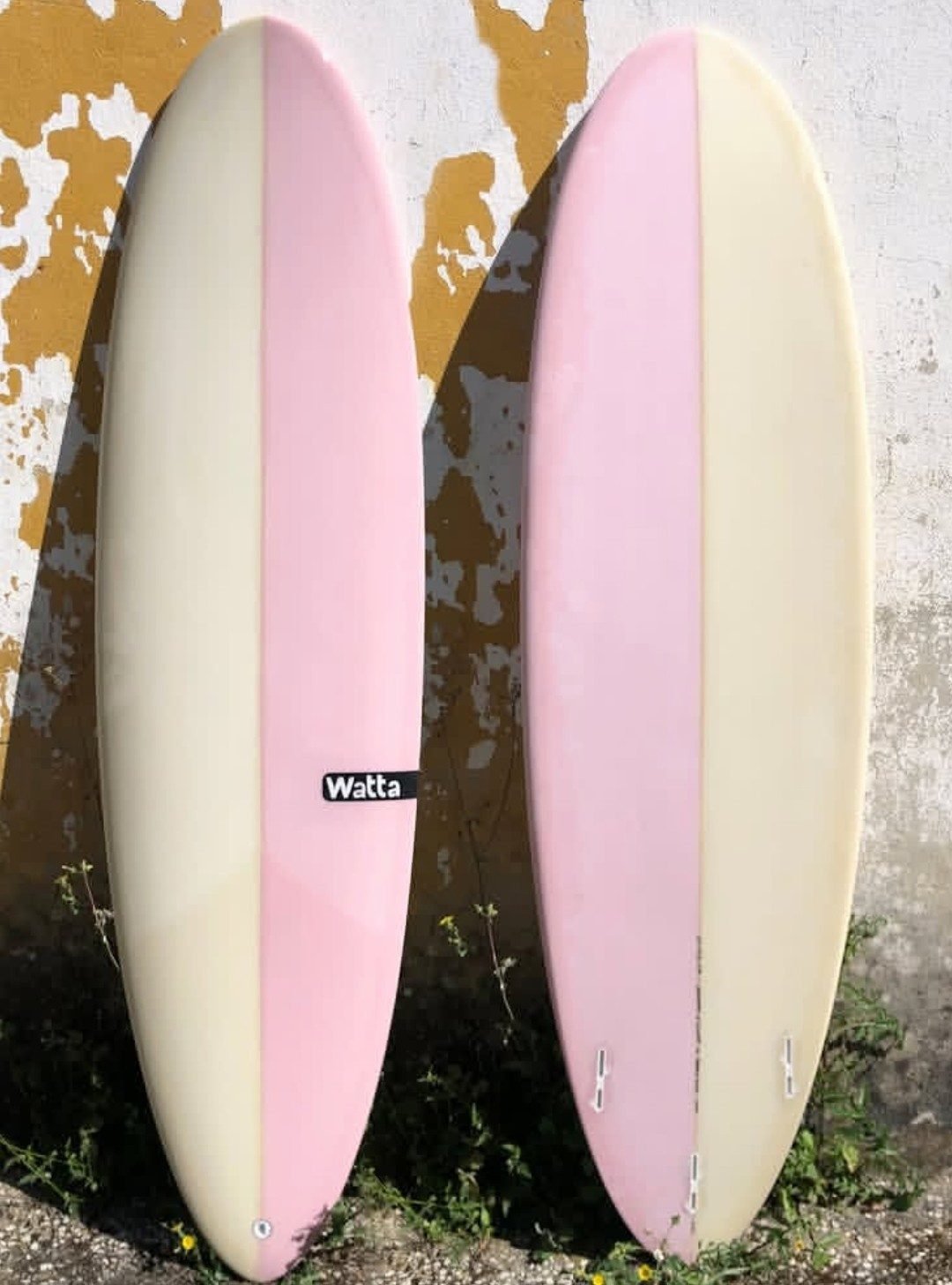 The Evolution Funboard, photo 2