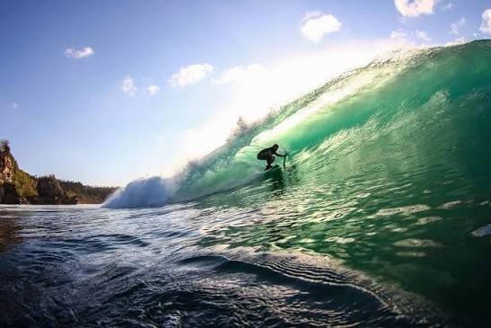 Watta rider surfing a wave